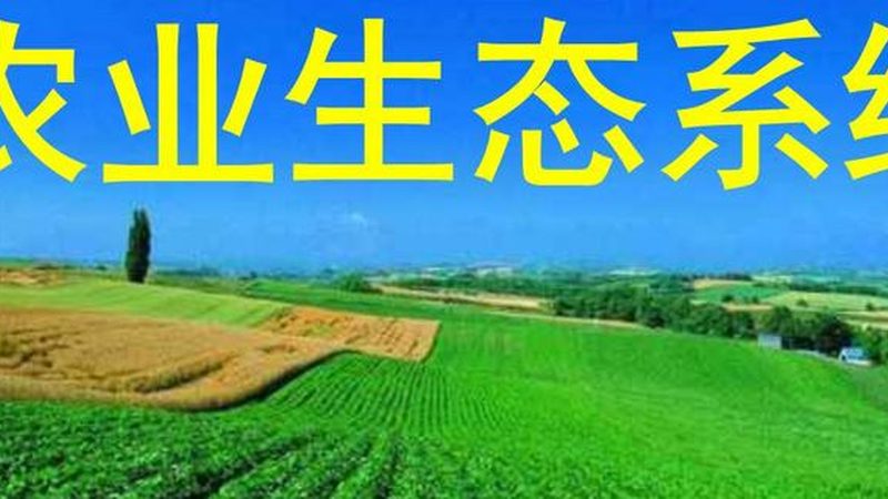温室骨架安装方法视频教学