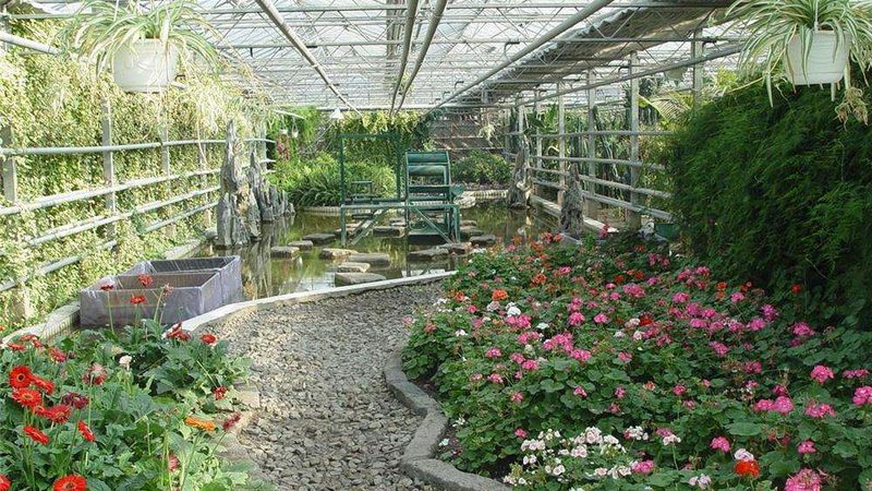 无土种植设备主要包括灌溉系统、营养液配制系统、温室设施等。这些设备具有以下特点：