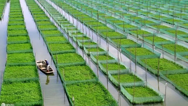 粮食种植深加工项目：揭秘关键设备型号与参数**