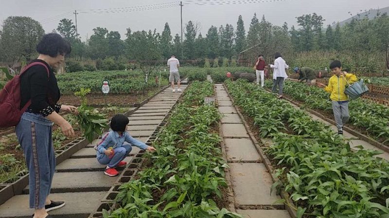 农民专业合作社注册资金，到底该填多少才合适