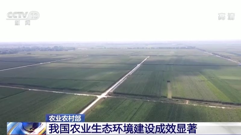 郑州农资批发市场：进货渠道的多元选择与注意事项