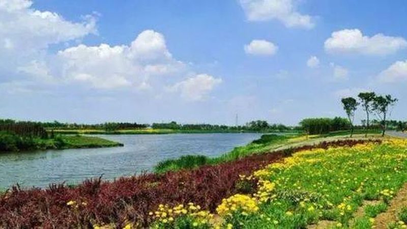 成都农业产业园智慧系统：农业现代化的新引擎