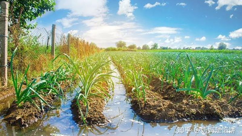 智慧农业种植系统：揭秘其规格型号与选型逻辑