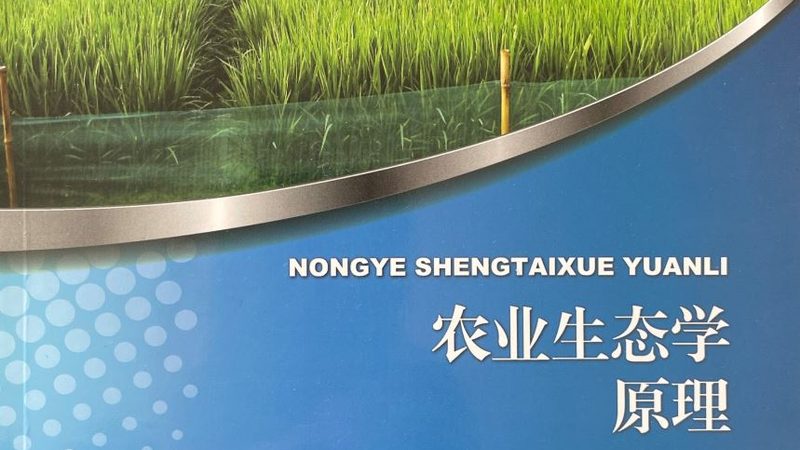 农民种植补贴怎么领