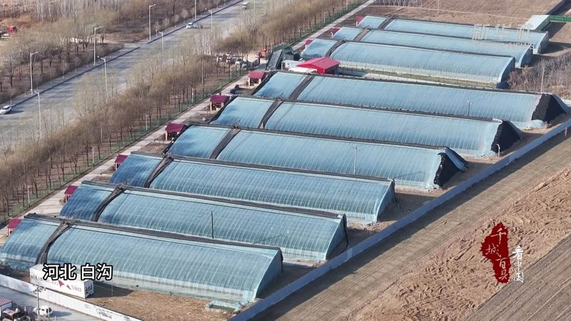 农产品配送系统：规格参数解析与选型要点**