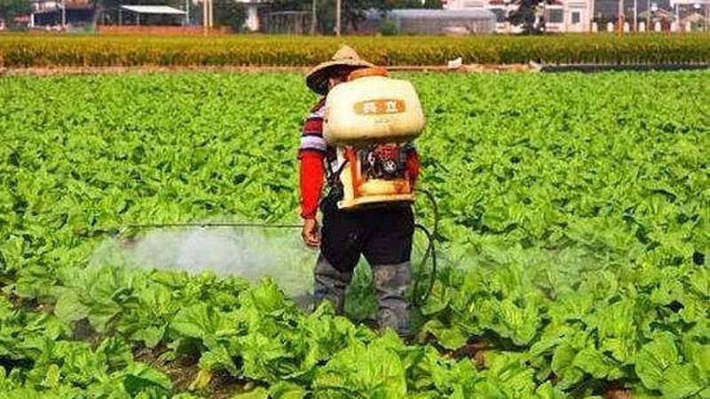 农村合作社价格报价：揭秘合作社采购的五大关键因素