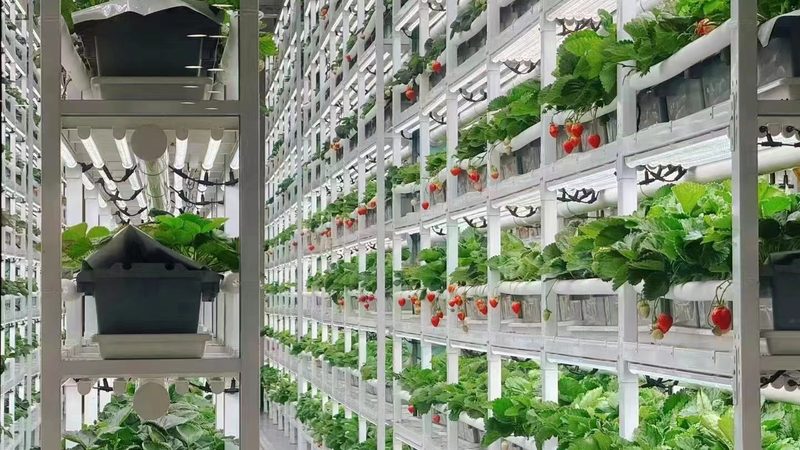合作社注销，卡在最后一公里的不只是材料